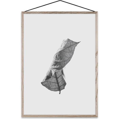 [product_category]-08115-PAP-Paper Collective-08115-PAP-1