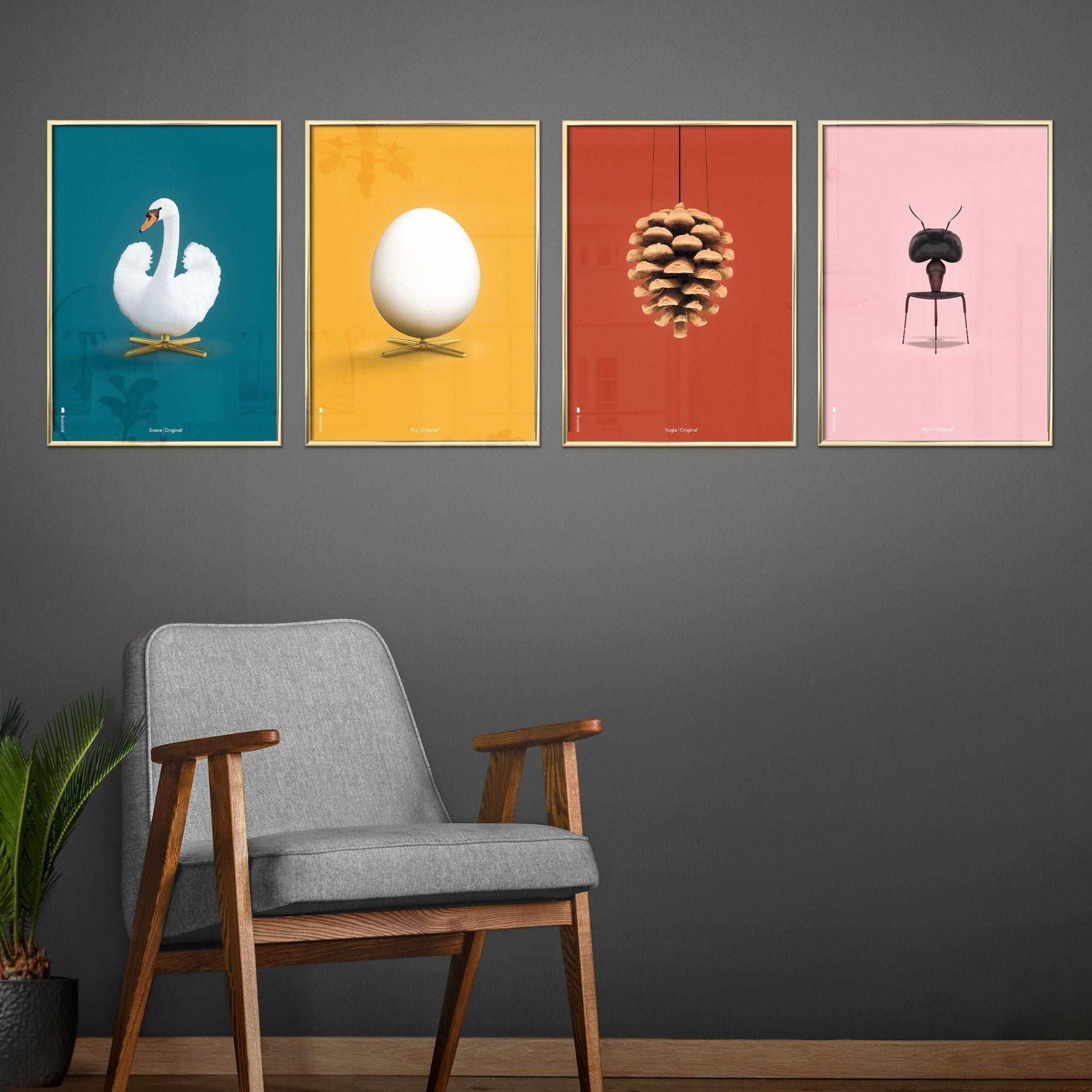 [product_category]-Brainchild Ant Classic Poster, Brass Colored Frame 50 X70 Cm, Pink Background-Brainchild-43003-D-BRA-2