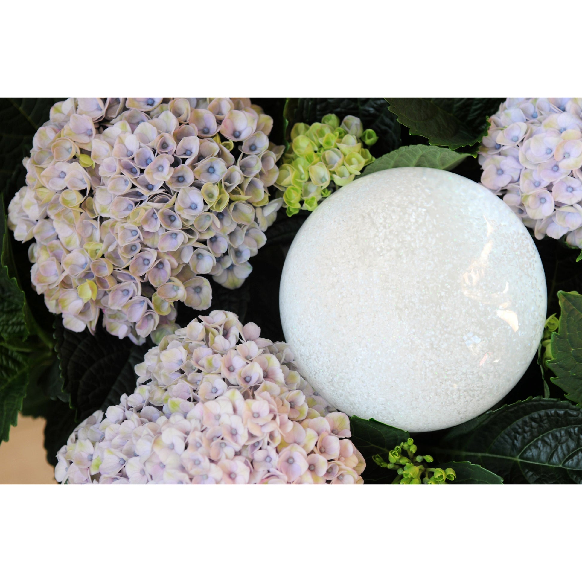 [product_category]-Cool Snow Globes Snowball-Cool Snow Globes-852830007427-CS219-SNOB-COO-9