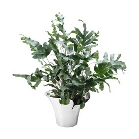 [product_category]-Georg Jensen Bloom Botanica Flowerpot, Medium-Georg Jensen-5713275217480-10019514-GEO-2